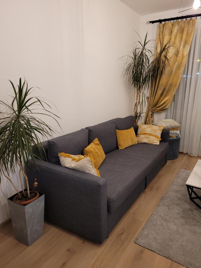 4Qualis Apartment Brasov Bagian luar foto